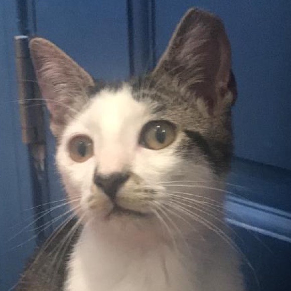 Meet your Posher, Priya - Picture 1 of 1